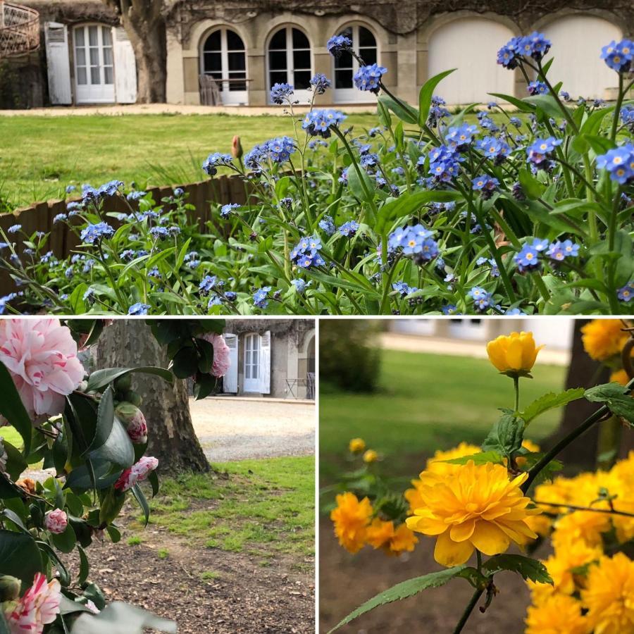 Au Rez De Jardin Hotel Cholet Kültér fotó