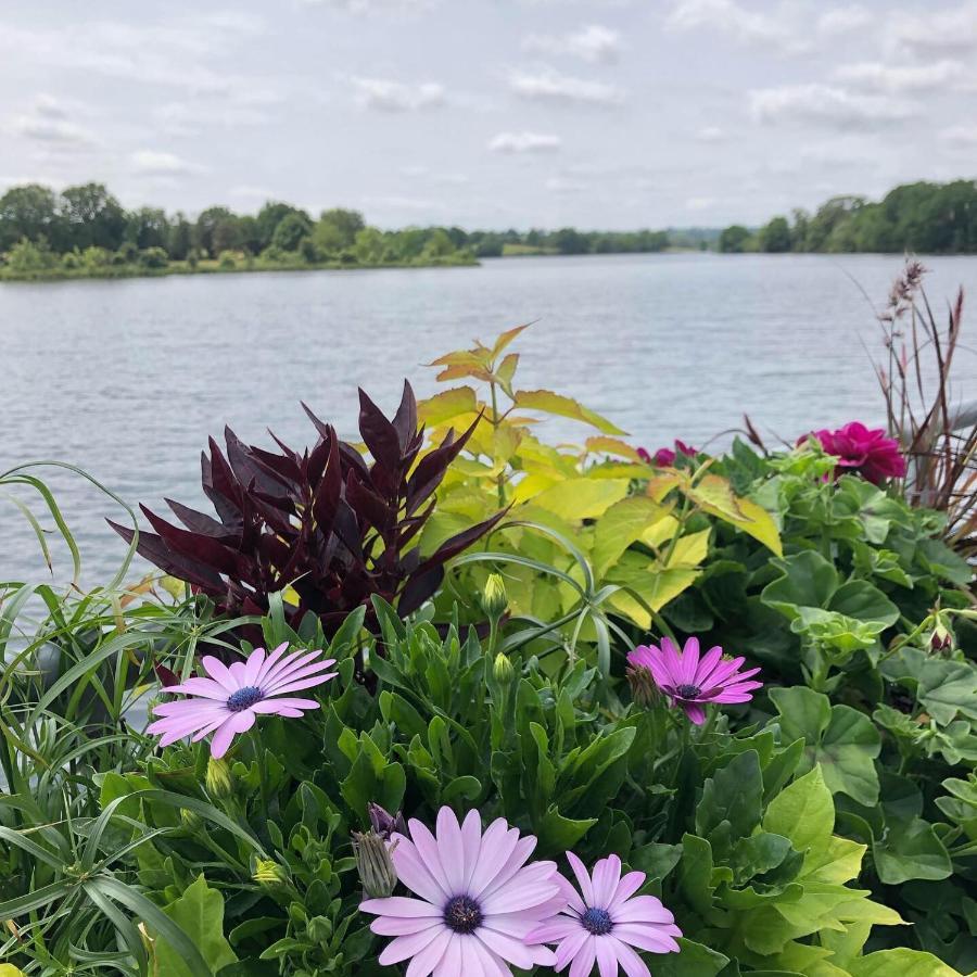 Au Rez De Jardin Hotel Cholet Kültér fotó