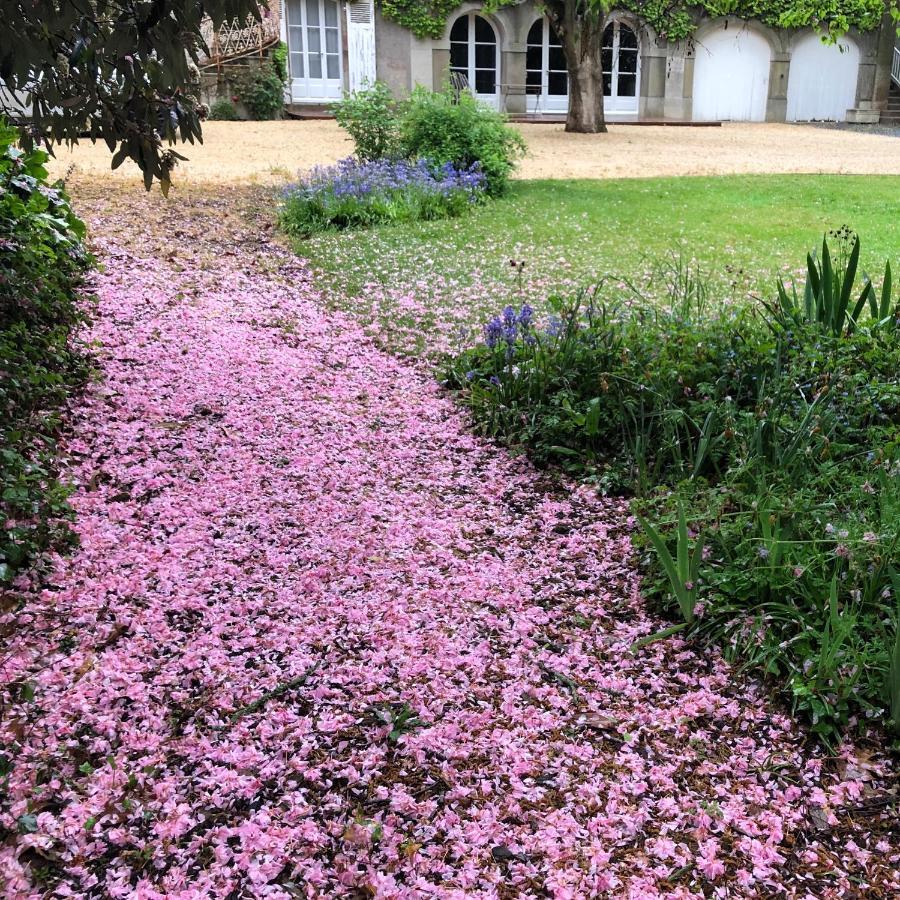 Au Rez De Jardin Hotel Cholet Kültér fotó