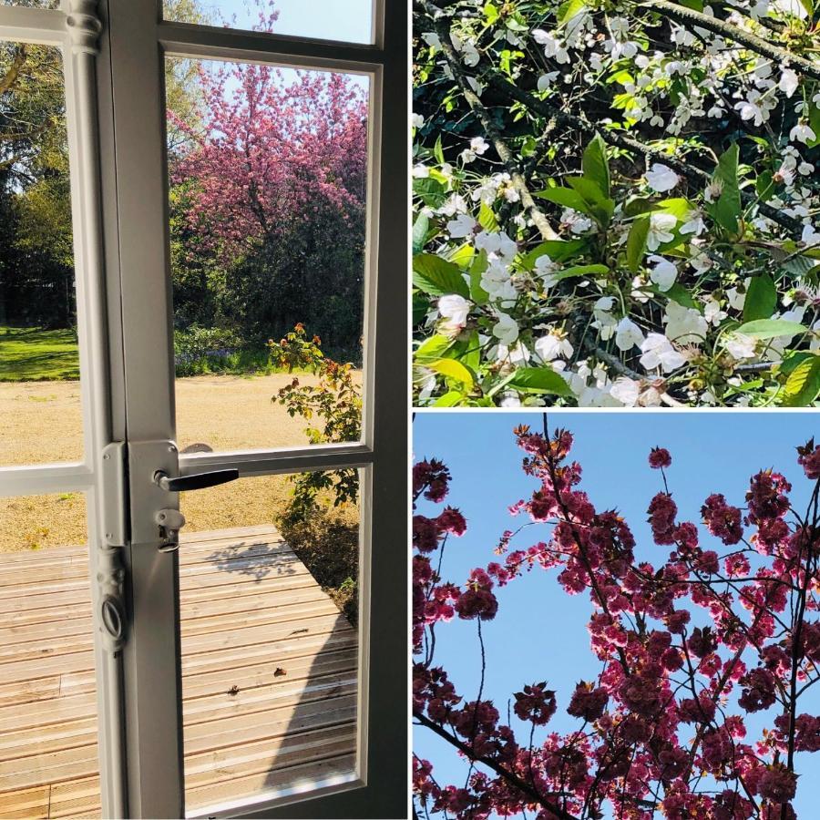 Au Rez De Jardin Hotel Cholet Kültér fotó